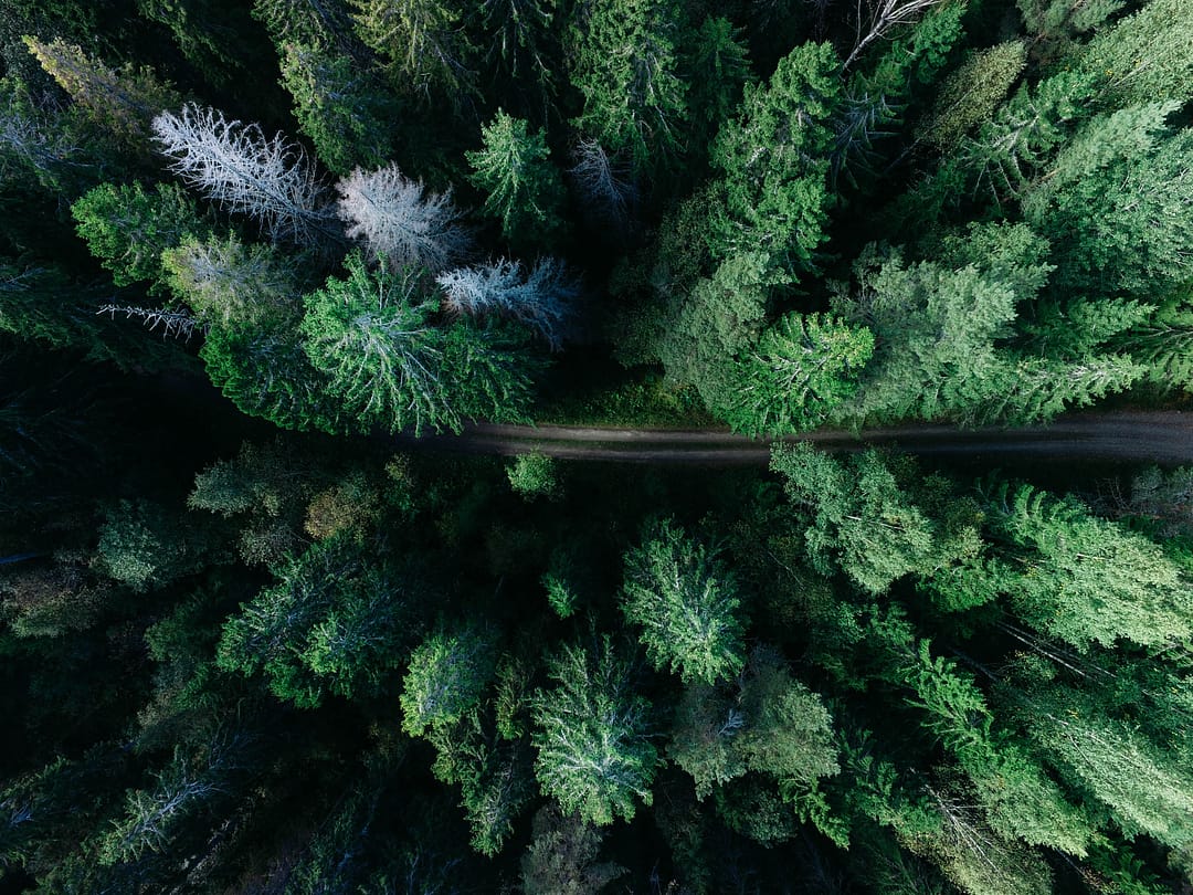 Expert 5A geran de klerk 136351 unsplash