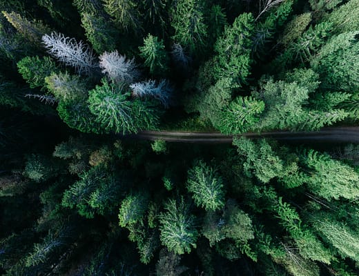 Expert 5A geran de klerk 136351 unsplash